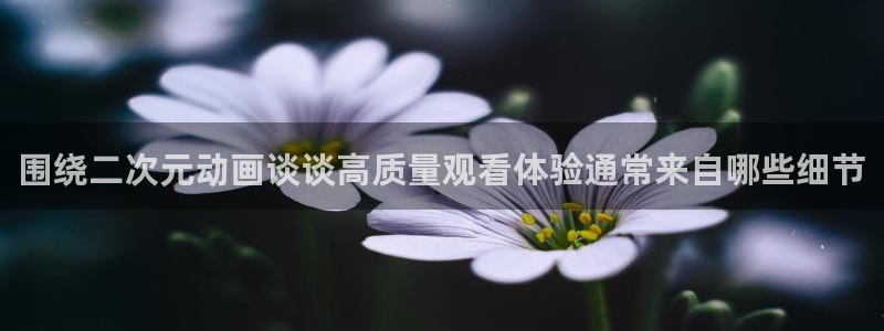 记得香蕉成熟时在线：围绕二次元动画谈谈高质量观看体验通常来自哪些细节配图