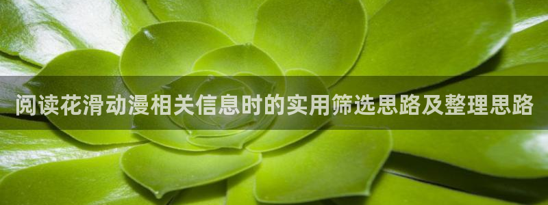 香蕉成熟时夏梦:阅读花滑动漫相关信息时的实用筛选思路及整理思路配图